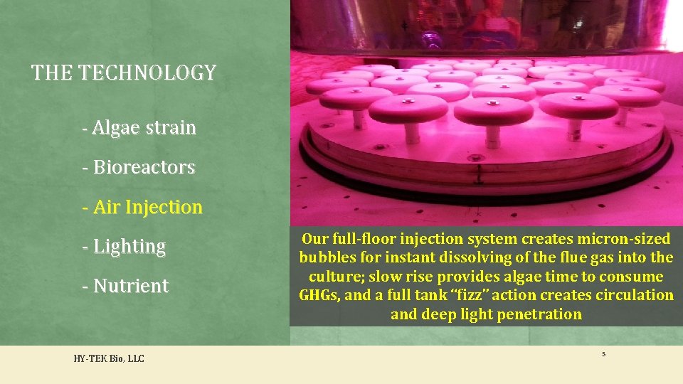 THE TECHNOLOGY - Algae strain - Bioreactors - Air Injection - Lighting - Nutrient