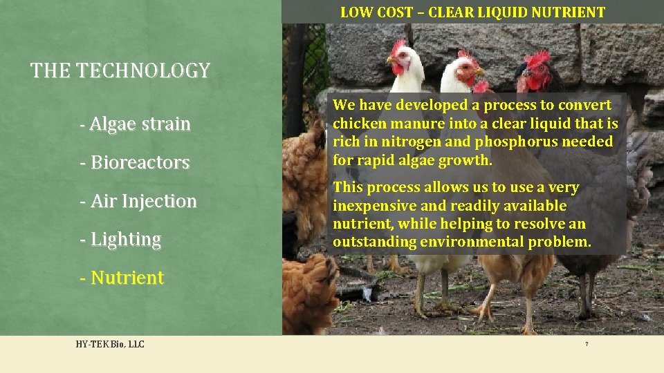 LOW COST – CLEAR LIQUID NUTRIENT THE TECHNOLOGY - Algae strain - Bioreactors -