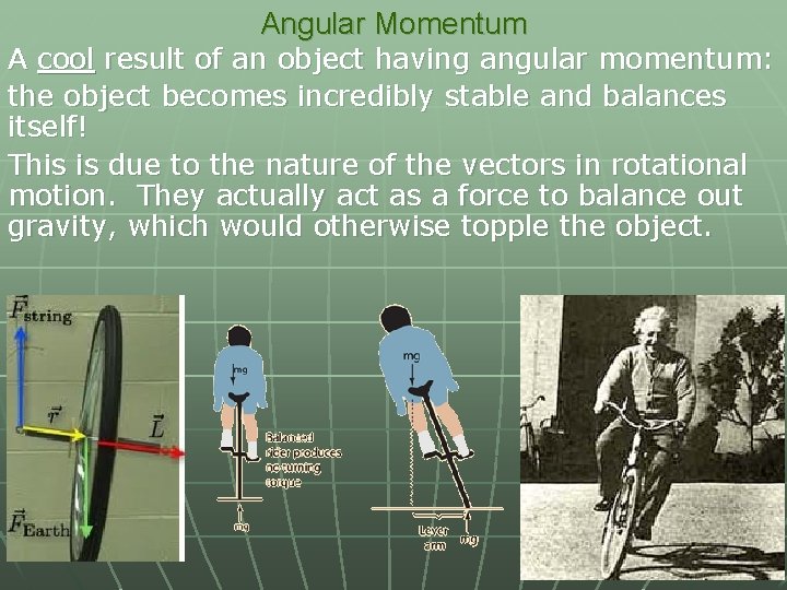 Angular Momentum A cool result of an object having angular momentum: the object becomes