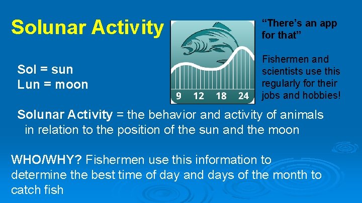 Solunar Activity Sol = sun Lun = moon “There’s an app for that” Fishermen