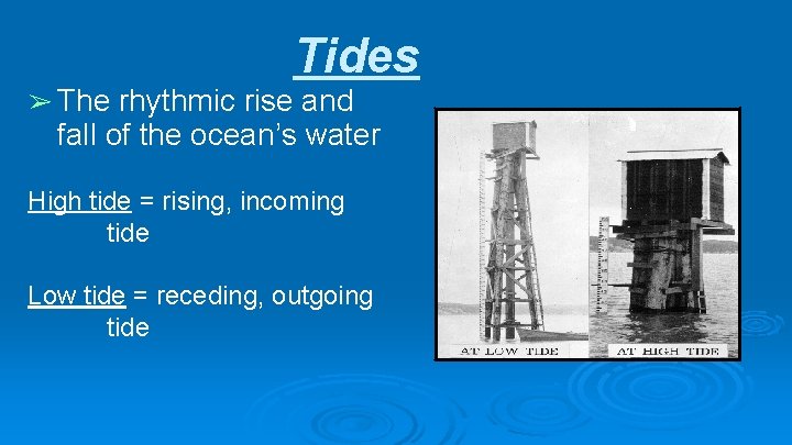 Tides ➢ The rhythmic rise and fall of the ocean’s water High tide =