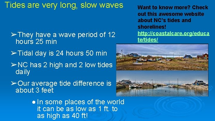 Tides are very long, slow waves ➢They have a wave period of 12 hours