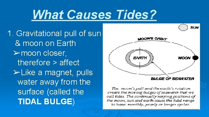 What Causes Tides? 1. Gravitational pull of sun & moon on Earth ➢moon closer,