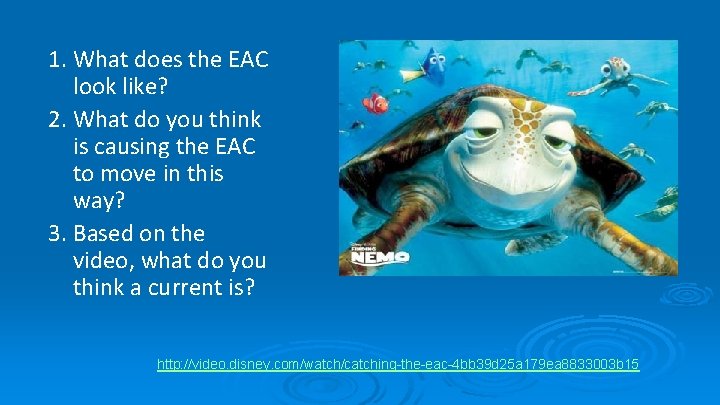 1. What does the EAC look like? 2. What do you think is causing