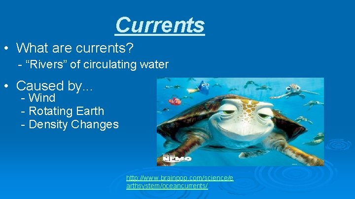 Currents • What are currents? - “Rivers” of circulating water • Caused by. .