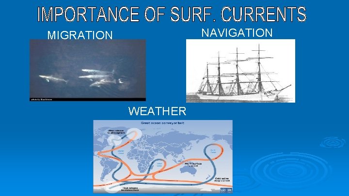 NAVIGATION MIGRATION WEATHER 