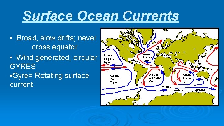 Surface Ocean Currents • Broad, slow drifts; never cross equator • Wind generated; circular