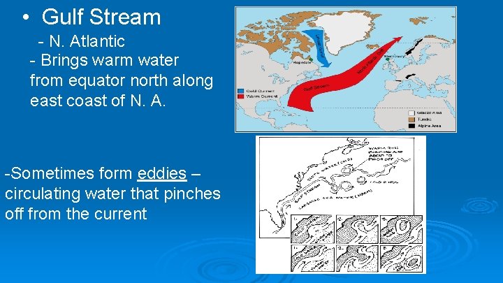  • Gulf Stream - N. Atlantic - Brings warm water from equator north