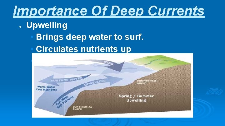 Importance Of Deep Currents ● Upwelling • Brings deep water to surf. • Circulates