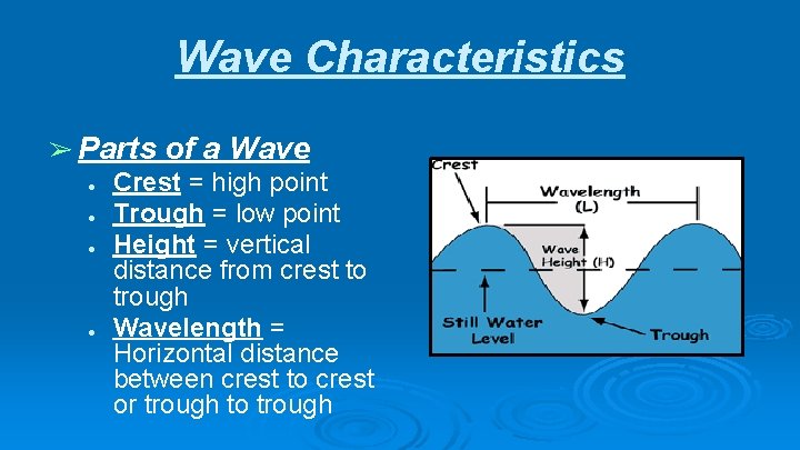Wave Characteristics ➢ Parts of a Wave ● Crest = high point ● Trough