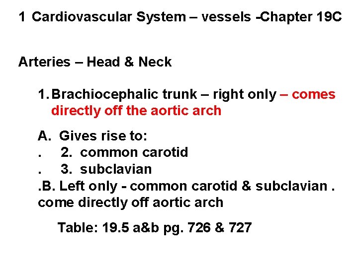 1 Cardiovascular System – vessels -Chapter 19 C Arteries – Head & Neck 1. 1 Cardiovascular System – vessels -Chapter 19 C Arteries – Head & Neck 1.