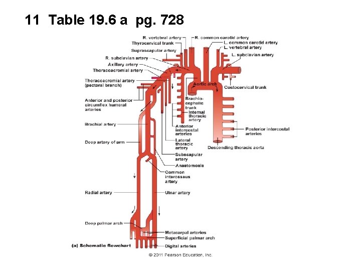 11 Table 19. 6 a pg. 728 11 Table 19. 6 a pg. 728