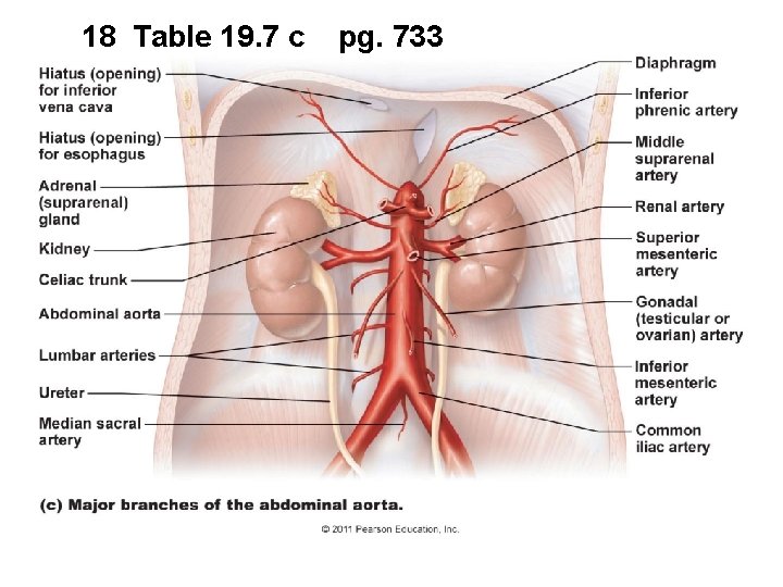 18 Table 19. 7 c pg. 733 18 Table 19. 7 c pg. 733