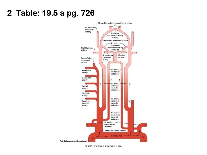 2 Table: 19. 5 a pg. 726 2 Table: 19. 5 a pg. 726