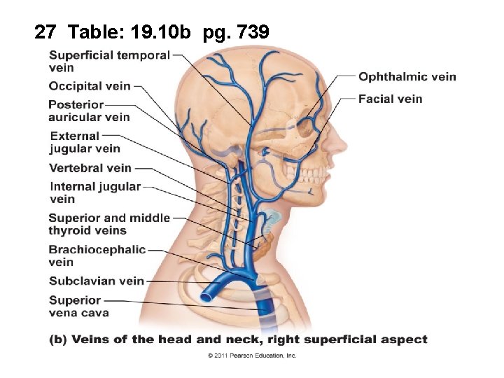 27 Table: 19. 10 b pg. 739 27 Table: 19. 10 b pg. 739