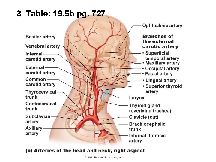 3 Table: 19. 5 b pg. 727 3 Table: 19. 5 b pg. 727