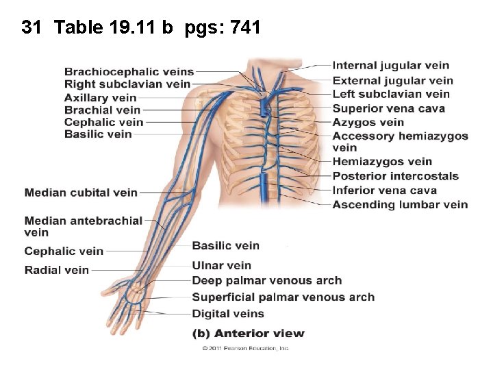 31 Table 19. 11 b pgs: 741 31 Table 19. 11 b pgs: 741