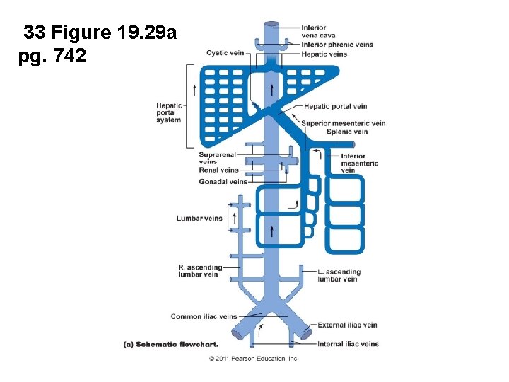 33 Figure 19. 29 a pg. 742 33 Figure 19. 29 a pg. 742