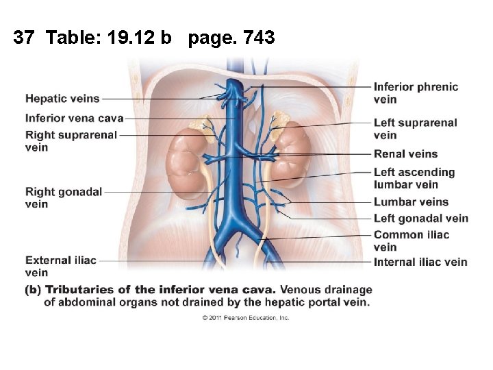 37 Table: 19. 12 b page. 743 37 Table: 19. 12 b page. 743