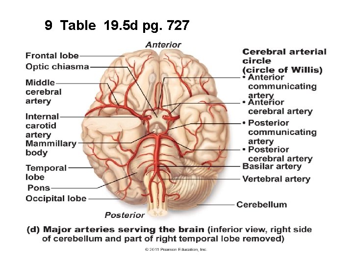 9 Table 19. 5 d pg. 727 9 Table 19. 5 d pg. 727