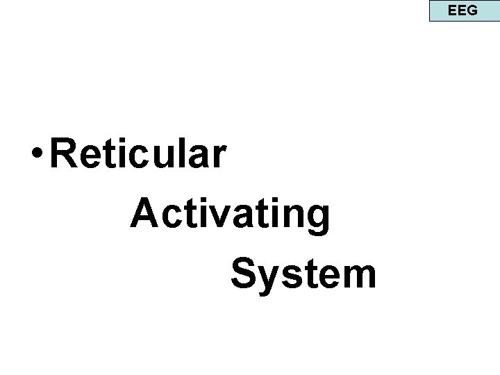 EEG • Reticular Activating System 