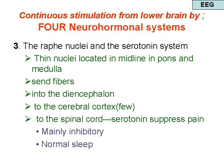 EEG Continuous stimulation from lower brain by ; FOUR Neurohormonal systems 3. The raphe