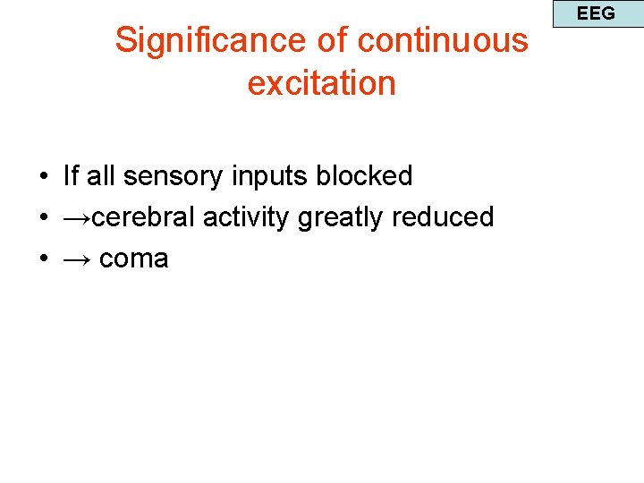 Significance of continuous excitation • If all sensory inputs blocked • →cerebral activity greatly