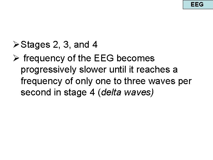 EEG Ø Stages 2, 3, and 4 Ø frequency of the EEG becomes progressively