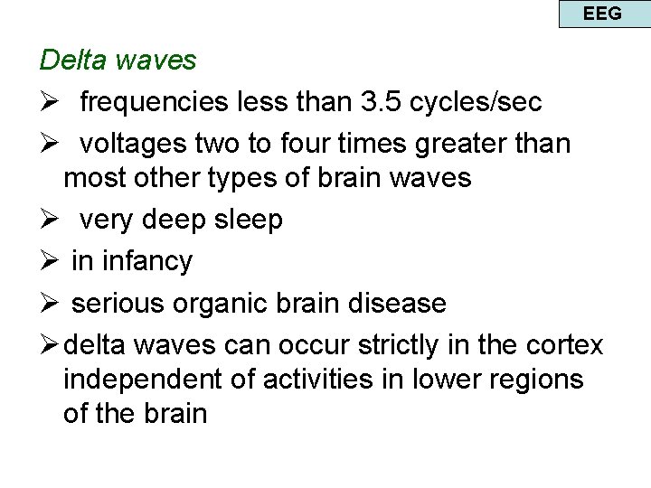 EEG Delta waves Ø frequencies less than 3. 5 cycles/sec Ø voltages two to