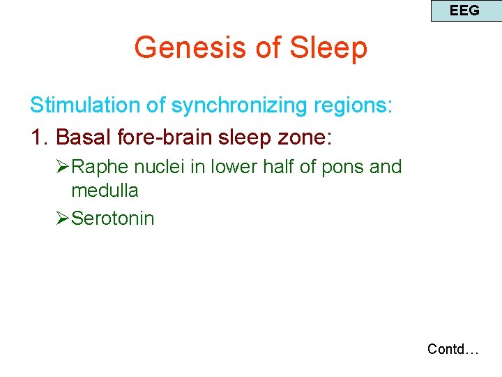 EEG Genesis of Sleep Stimulation of synchronizing regions: 1. Basal fore-brain sleep zone: ØRaphe