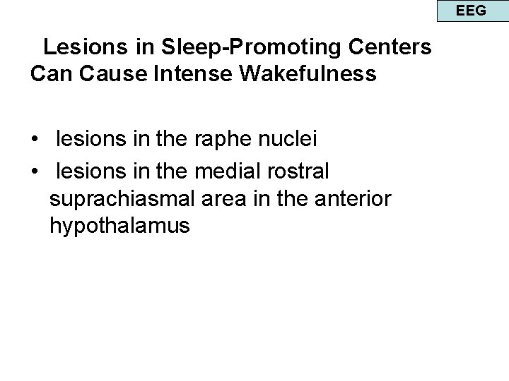 EEG Lesions in Sleep-Promoting Centers Can Cause Intense Wakefulness • lesions in the raphe