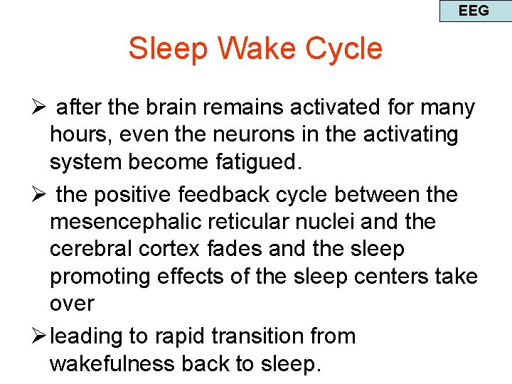 EEG Sleep Wake Cycle Ø after the brain remains activated for many hours, even