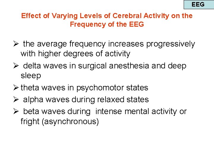 EEG Effect of Varying Levels of Cerebral Activity on the Frequency of the EEG