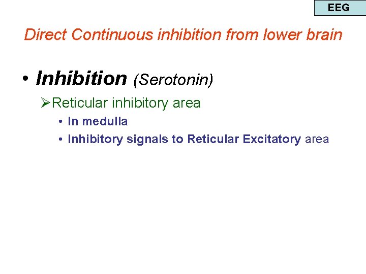 EEG Direct Continuous inhibition from lower brain • Inhibition (Serotonin) ØReticular inhibitory area •