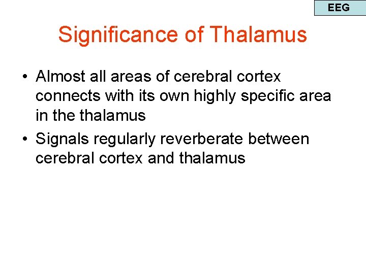 EEG Significance of Thalamus • Almost all areas of cerebral cortex connects with its