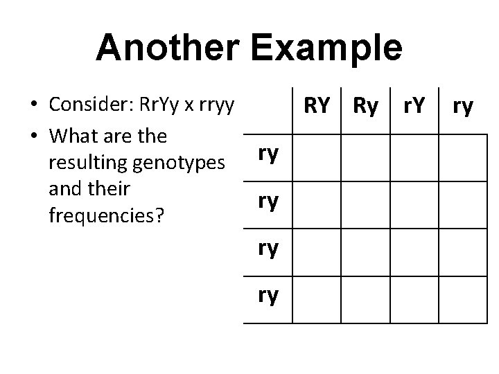 Another Example • Consider: Rr. Yy x rryy • What are the resulting genotypes