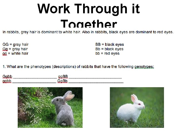 Work Through it Together Work Through it Together