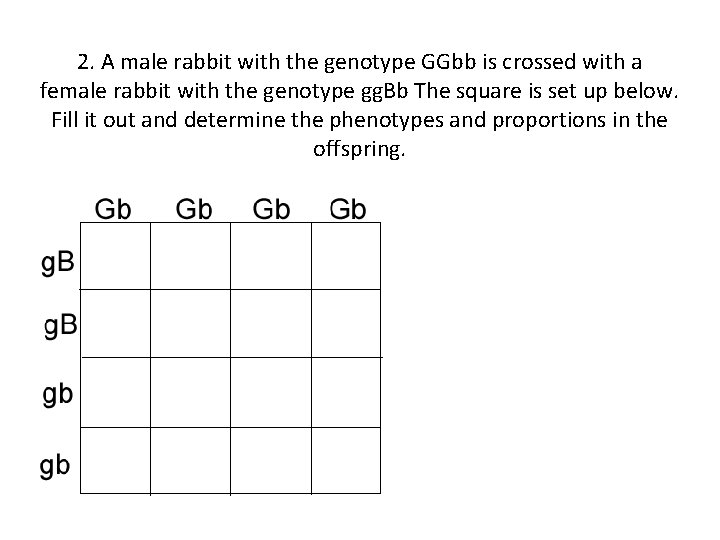 2. A male rabbit with the genotype GGbb is crossed with a female rabbit