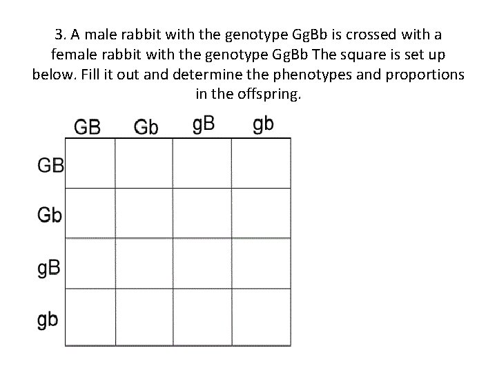 3. A male rabbit with the genotype Gg. Bb is crossed with a female 3. A male rabbit with the genotype Gg. Bb is crossed with a female