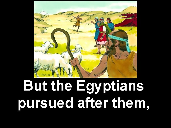 But the Egyptians pursued after them, 