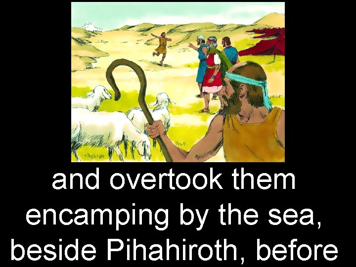 and overtook them encamping by the sea, beside Pihahiroth, before 