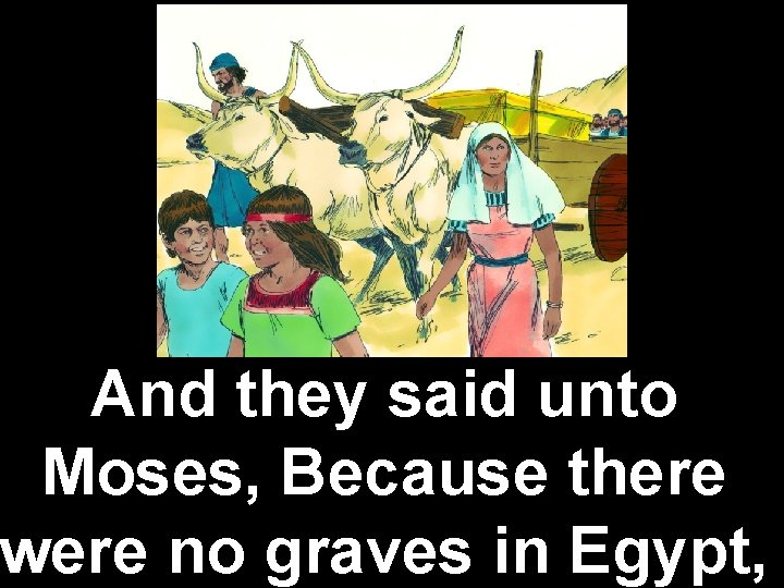 And they said unto Moses, Because there were no graves in Egypt, 