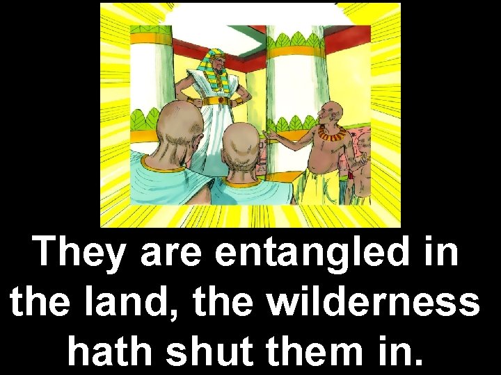 They are entangled in the land, the wilderness hath shut them in. 