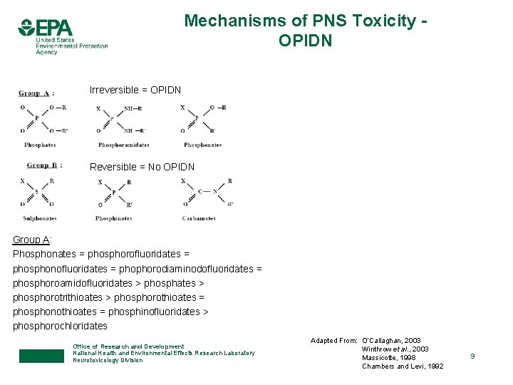 Mechanisms of PNS Toxicity OPIDN Irreversible = OPIDN Reversible = No OPIDN Group A: