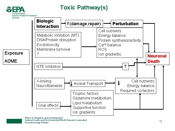 Toxic Pathway(s) Biologic Interaction Exposure f: (damage, repair) Metabolic inhibition (MT) DNA/Protein disruption Excitotoxicity