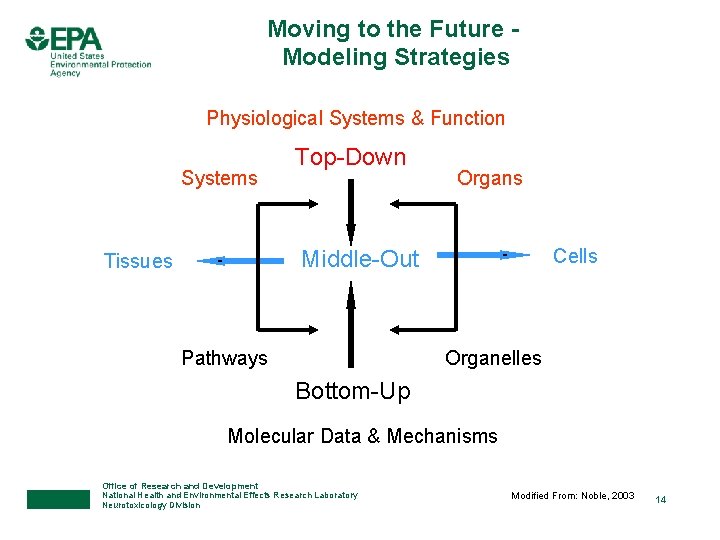 Moving to the Future Modeling Strategies Physiological Systems & Function Systems Top-Down Organs Cells