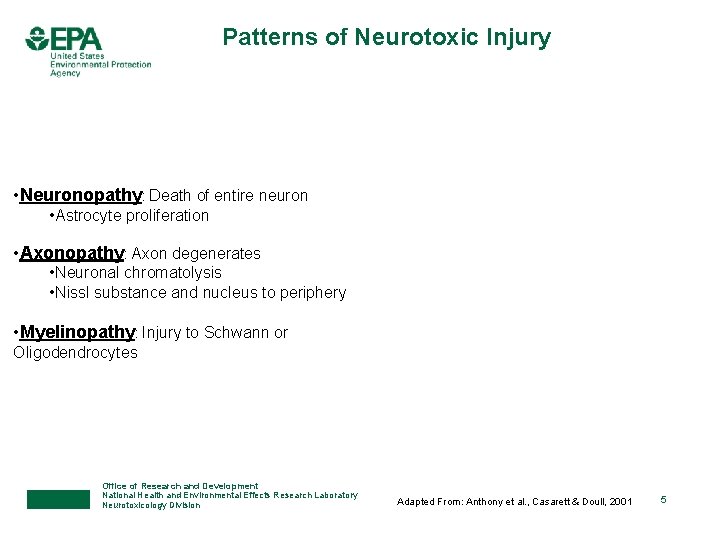 Patterns of Neurotoxic Injury • Neuronopathy: Death of entire neuron • Astrocyte proliferation •