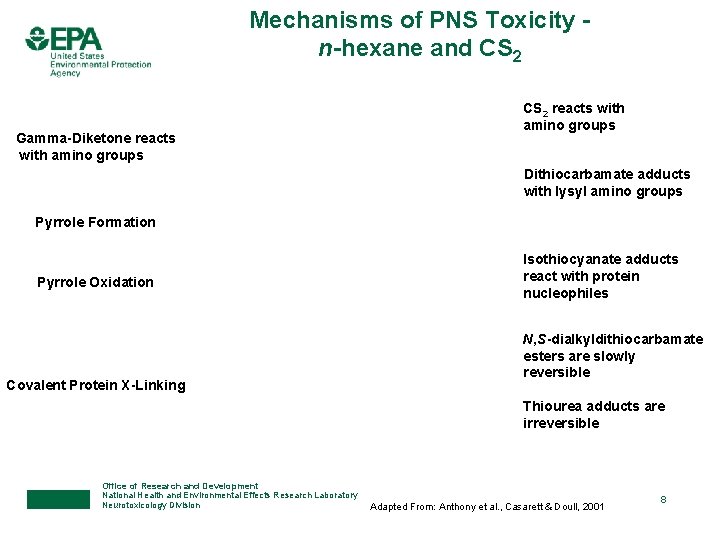 Mechanisms of PNS Toxicity n-hexane and CS 2 Gamma-Diketone reacts with amino groups CS