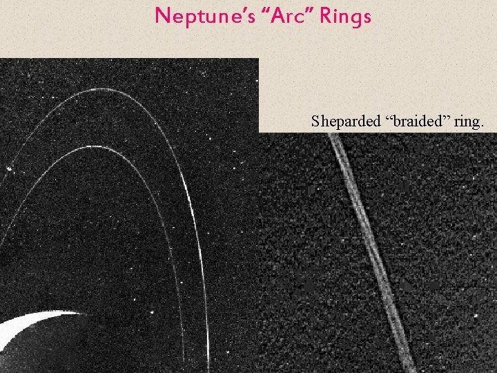 Neptune’s “Arc” Rings Sheparded “braided” ring. 