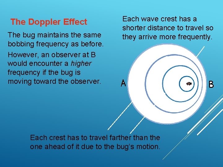 The Doppler Effect The bug maintains the same bobbing frequency as before. However, an The Doppler Effect The bug maintains the same bobbing frequency as before. However, an